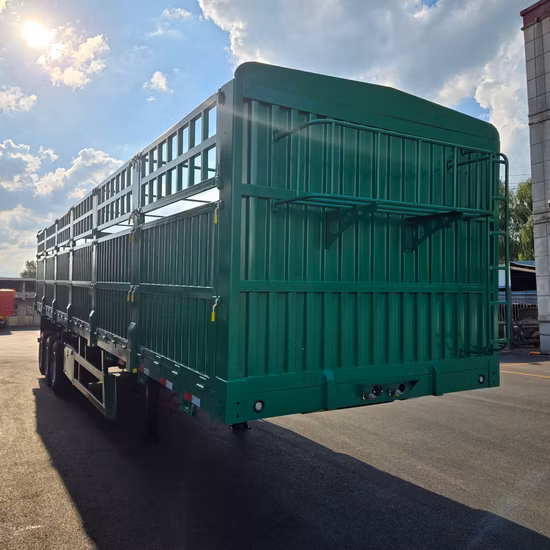 Spot Discount Cargo Semi Truck Trailer Fence Full Trailer Truck Flatbed Drawbar Trailers for Tanzanian