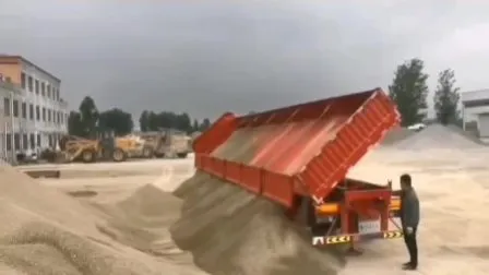 Side/End Dump/Tipping/Tipper Tractor/Horse/Truck Semi Trailer with 13 Tires and Box